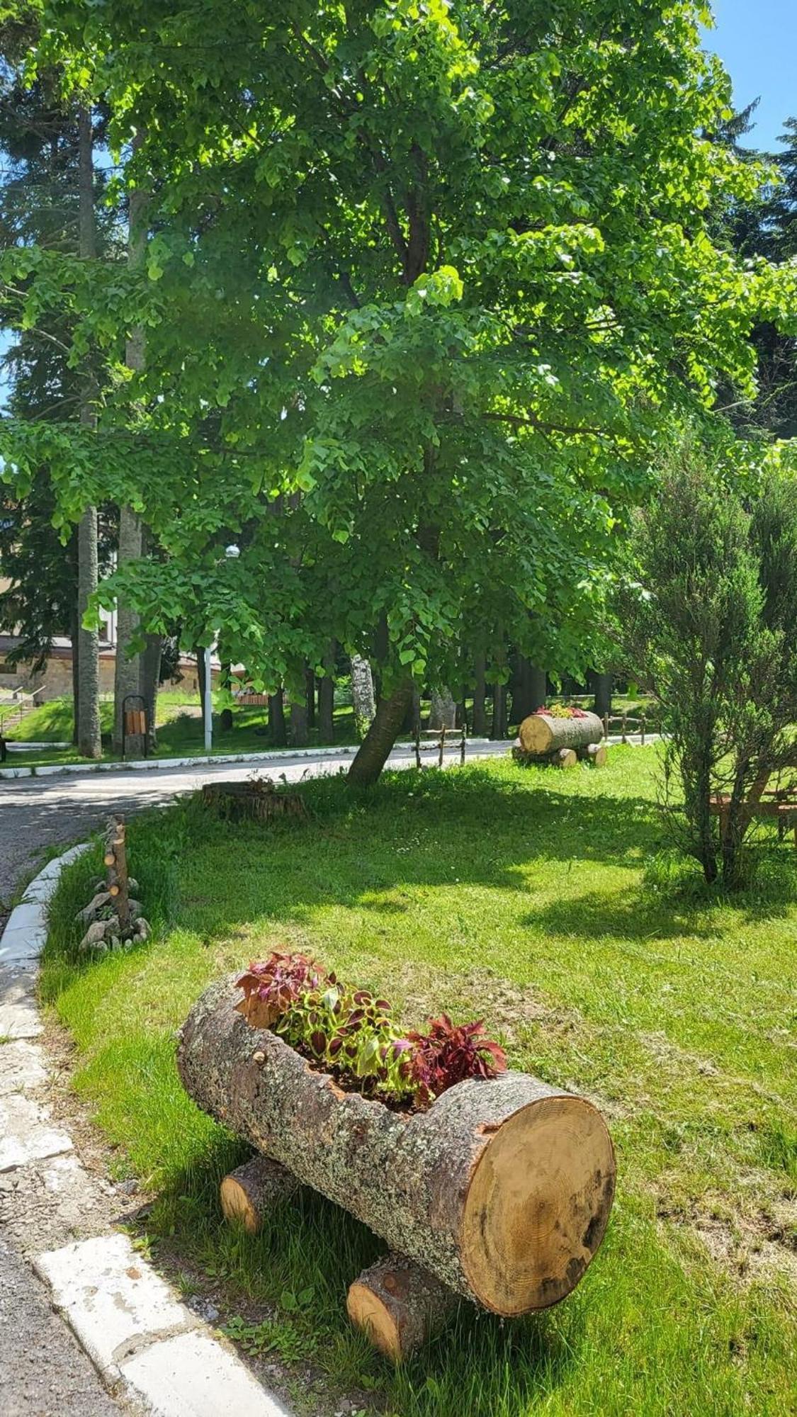 PM Services Borovets Garden Apartments Exterior foto