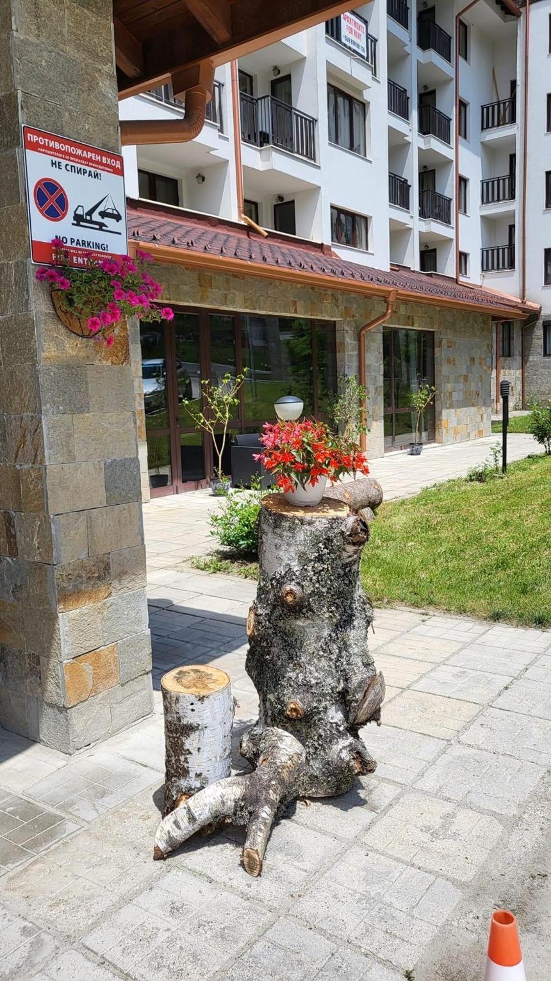 PM Services Borovets Garden Apartments Exterior foto